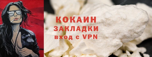 твердый Абаза