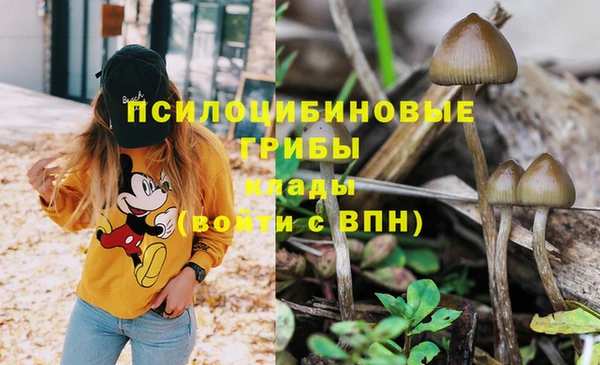 кокс Алзамай