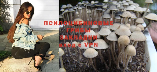 кокс Алзамай