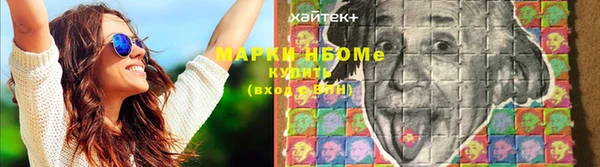 твердый Абаза