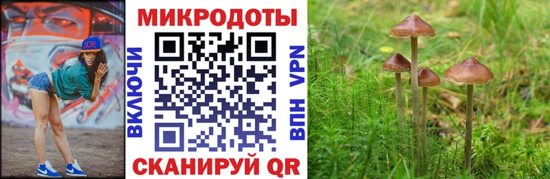 Галлюциногенные грибы мицелий даркнет сайт Кадников